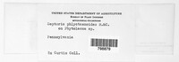Phomopsis phlyctaenoides image